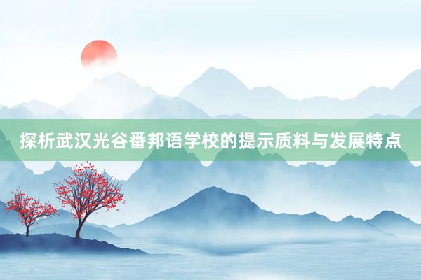 探析武汉光谷番邦语学校的提示质料与发展特点