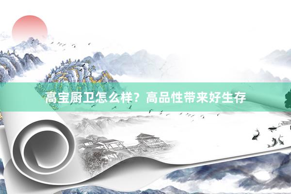 高宝厨卫怎么样？高品性带来好生存