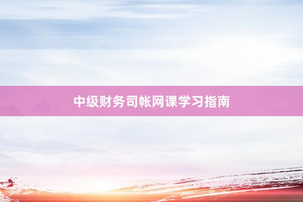 中级财务司帐网课学习指南
