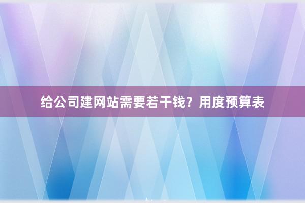 给公司建网站需要若干钱？用度预算表
